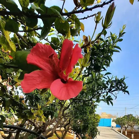 Villa A Pochi Passi Dal Mare