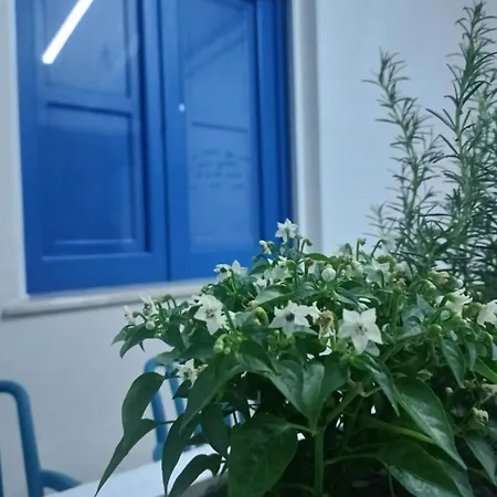 A Pochi Passi Dal Mare *